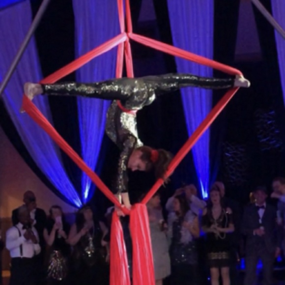 aerialistsgina